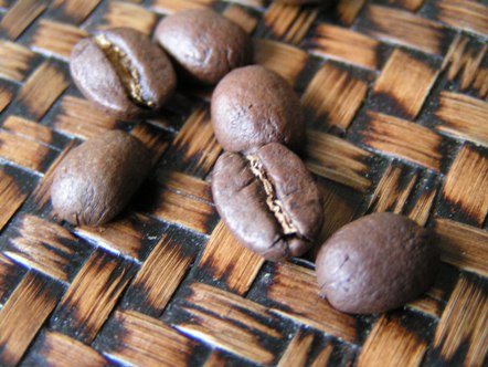 コーヒー豆を選ぼう