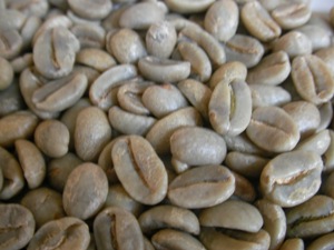 高級な生豆を使えばおいしいコーヒーが作れるの？