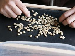 �n���h�s�b�N���ł��@�Q�O�O�U�N�P���P�T��