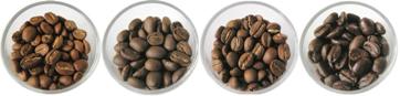 コーヒー豆を選ぼう！コーヒー豆の色を見よう